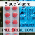 Blaue Viagra new14